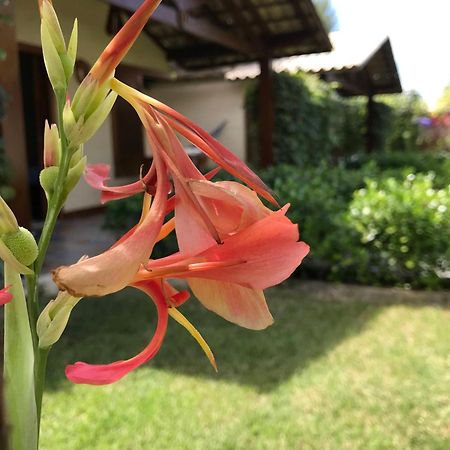 Pousada Rancho Paraiso Pôrto de Pedras Eksteriør billede