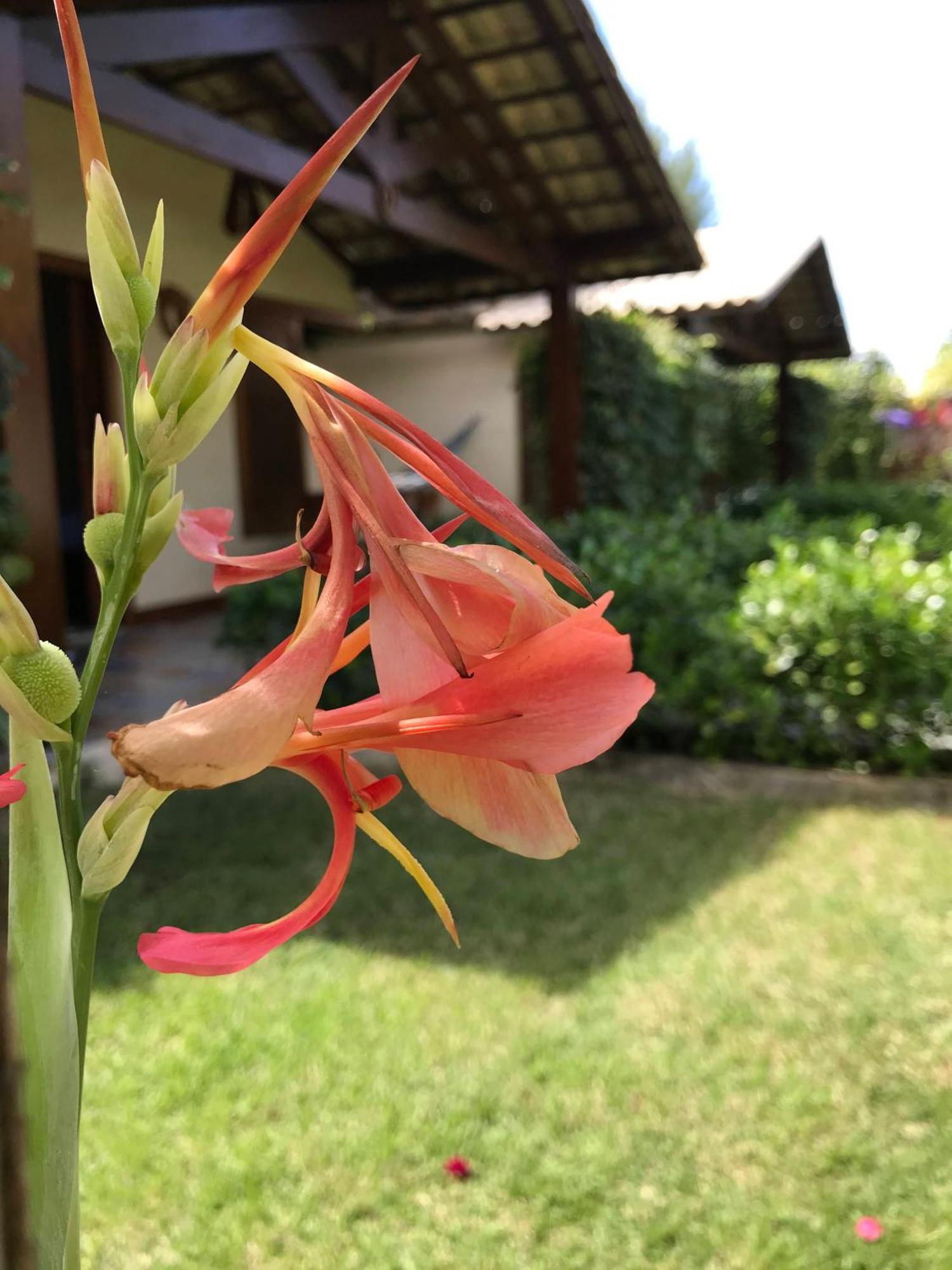 Pousada Rancho Paraiso Pôrto de Pedras Eksteriør billede